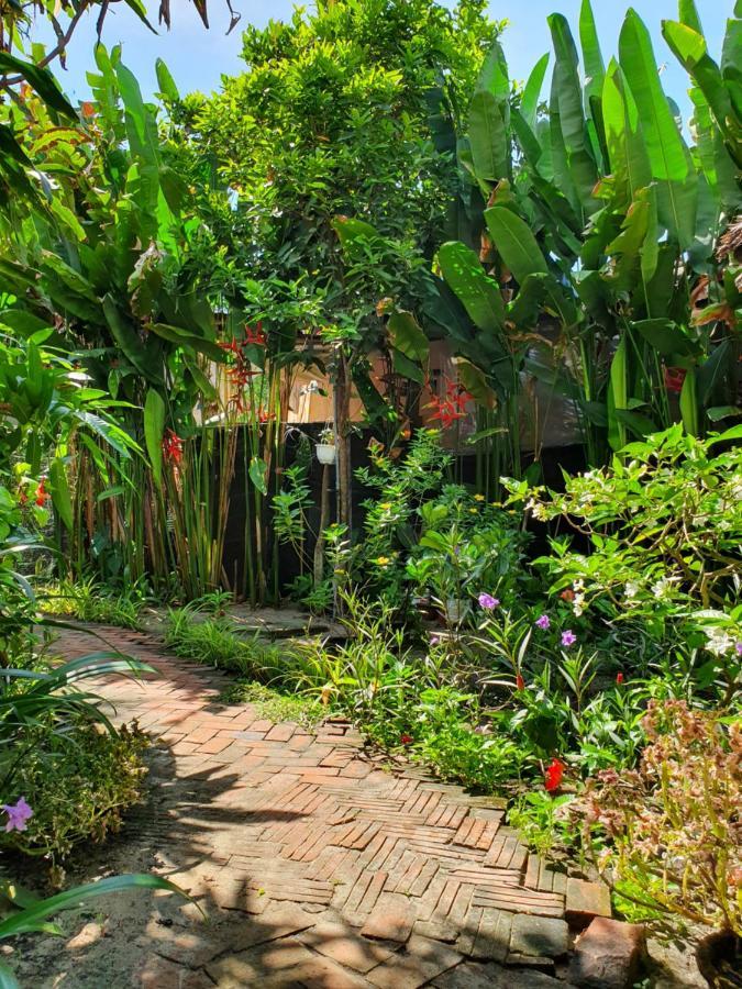 An Bang Hideaway Villa ฮอยอัน ภายนอก รูปภาพ